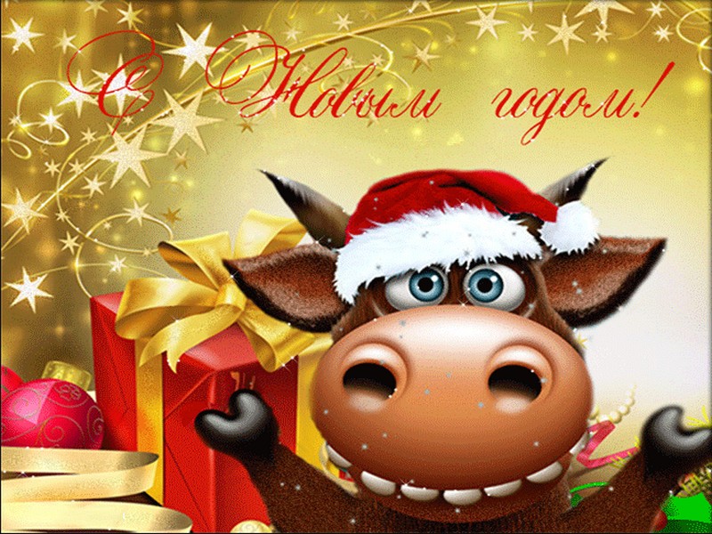 santa-cow-37.jpg